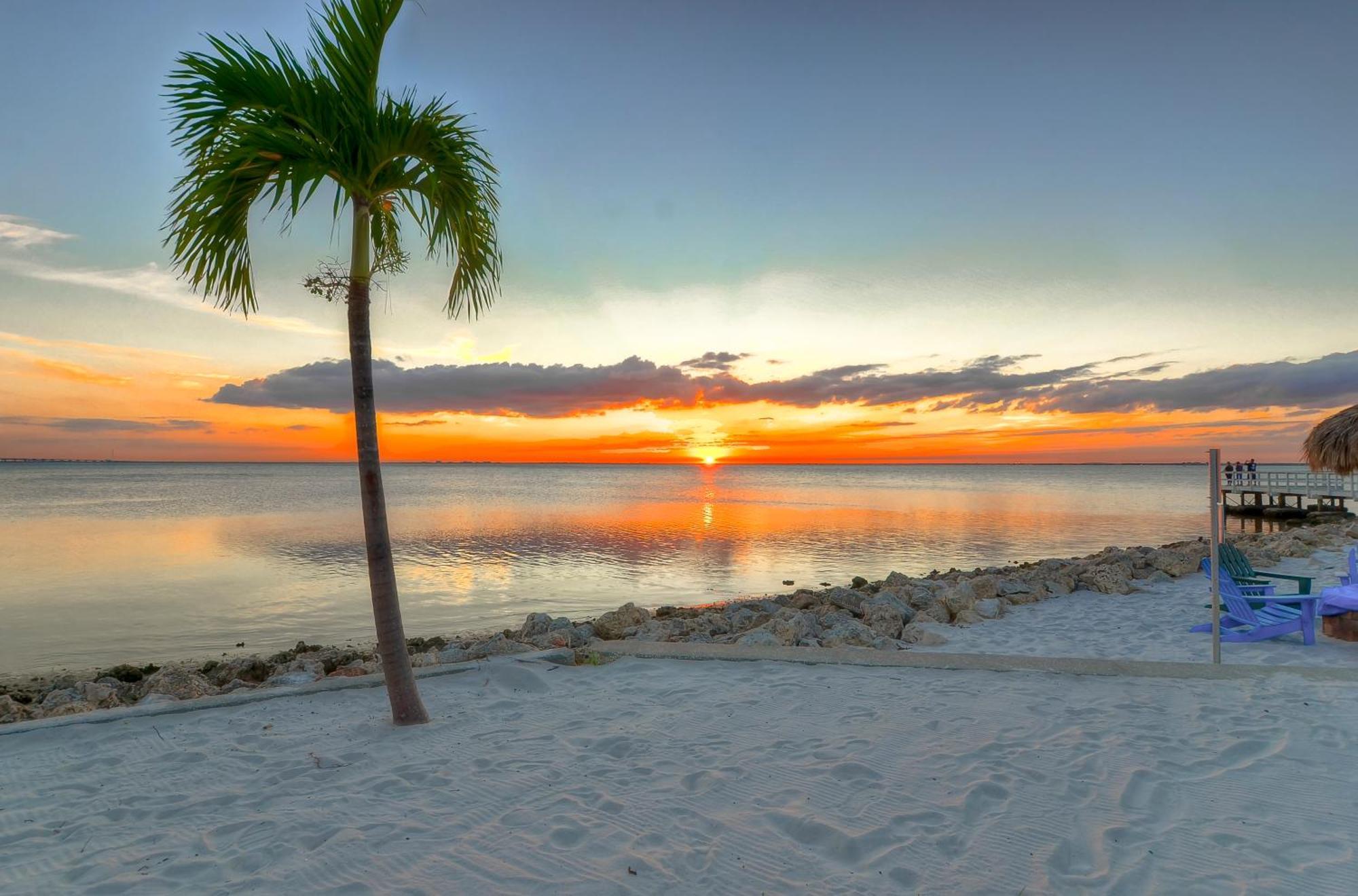 227-Wifi, New Paint, Amazing Views, Close To Bucs Stadium Tampa Exterior foto